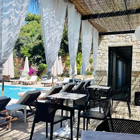 Hotel Platon 4*